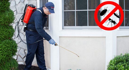 Alacakaya Fare İlaçlama böcek ilaçlama ve haşere kontrolü — ilaclama-tr.com